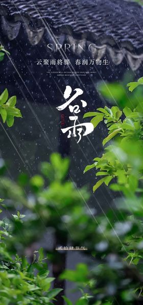 谷雨节气海报
