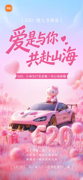 520情人节汽车海报