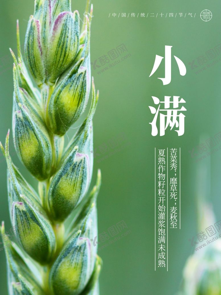 编号：69236709141922441372【酷图网】源文件下载-小满