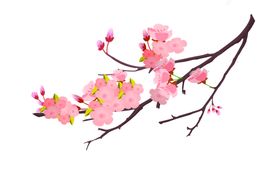 立春