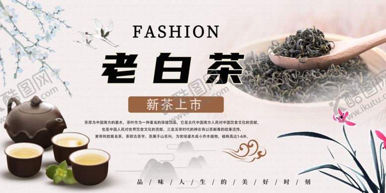 编号：30221411260405137141【酷图网】源文件下载-老白茶展板