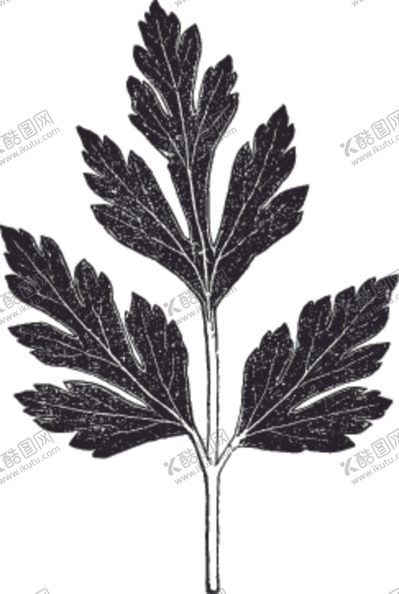 编号：85734709301807165081【酷图网】源文件下载-素描手绘蔬菜