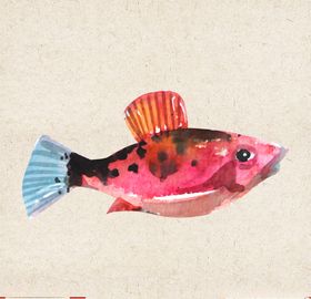 矢量动物矢量植物插画手绘