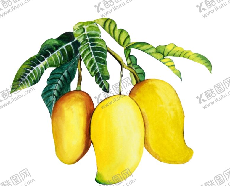 编号：20277409090935524144【酷图网】源文件下载-芒果