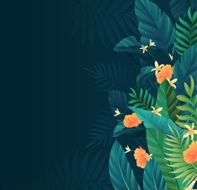 植物插画背景边框图片