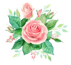 花卉背景电视热带植物室内