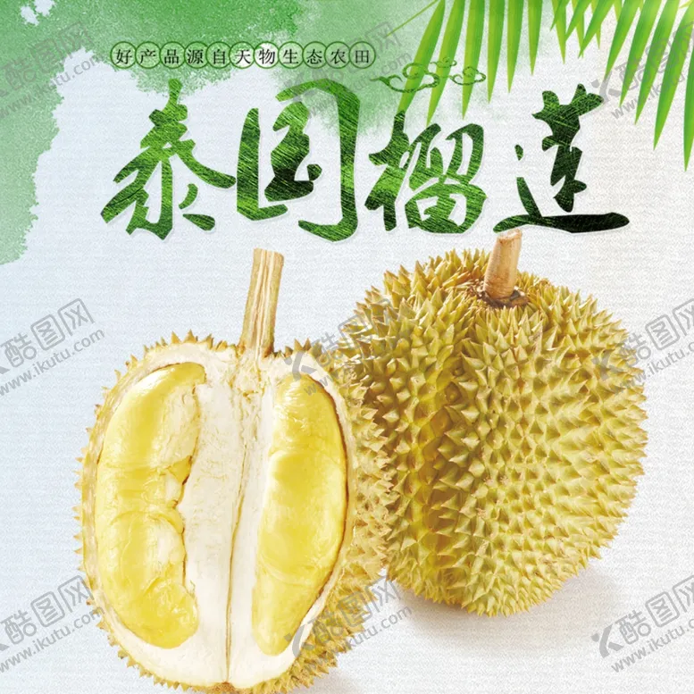 编号：50859006290443423442【酷图网】源文件下载-生鲜水果活动促销优惠淘宝主图