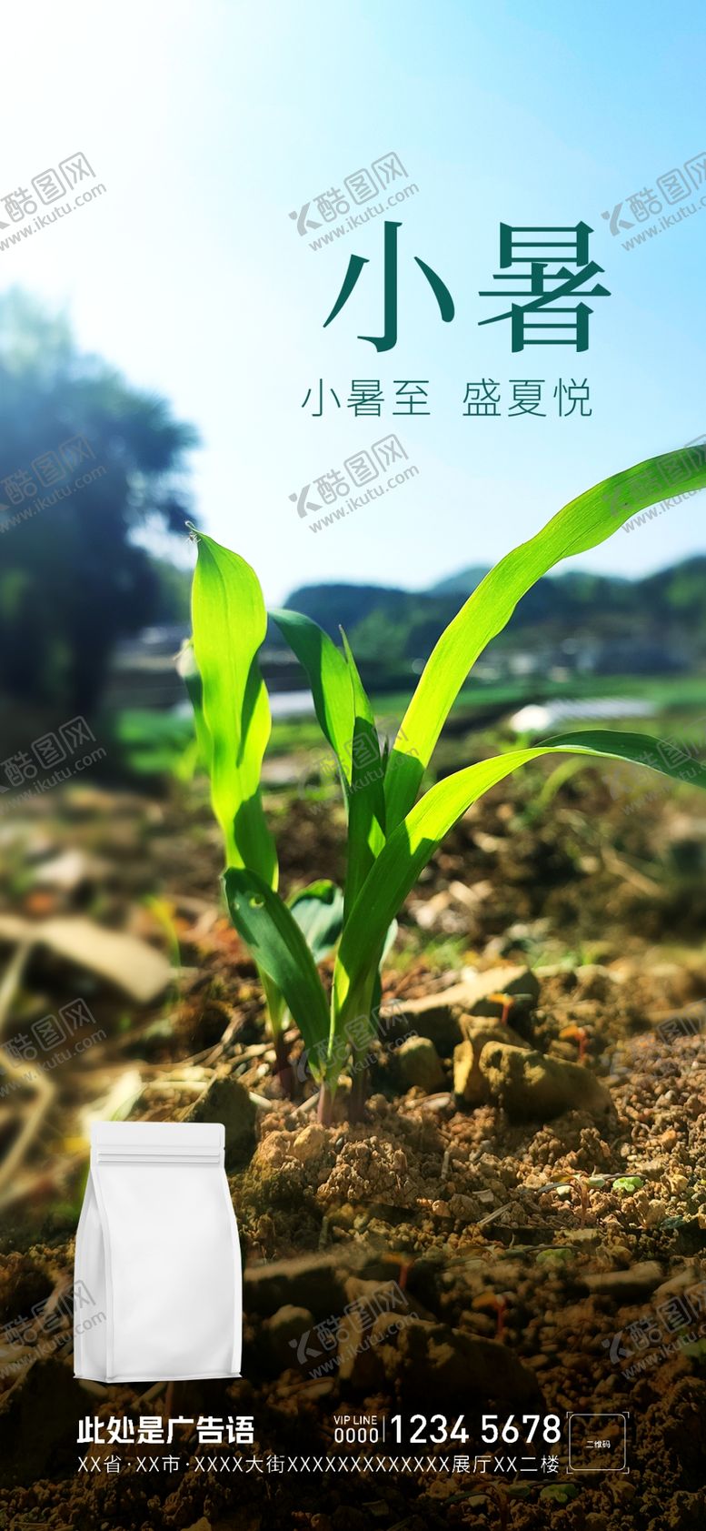编号：48552001250509279372【酷图网】源文件下载-小暑节气