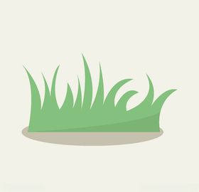 卡通小草