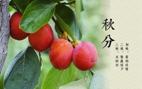 二十四节气灯箱