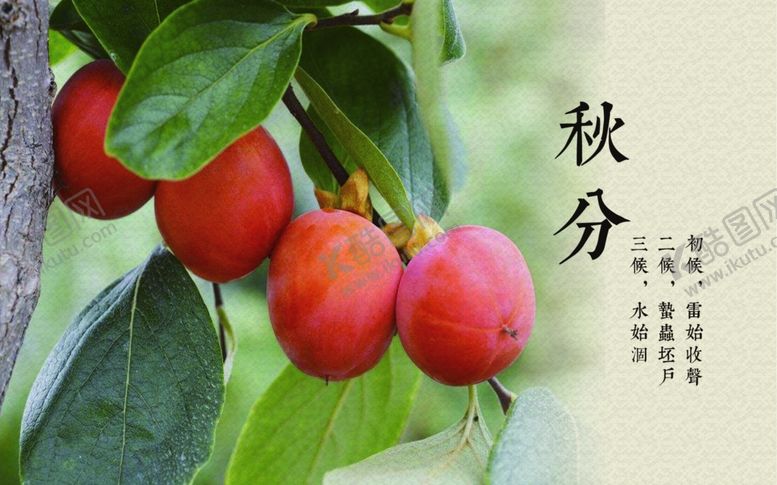 编号：15558609150409381440【酷图网】源文件下载-二十四节气灯箱