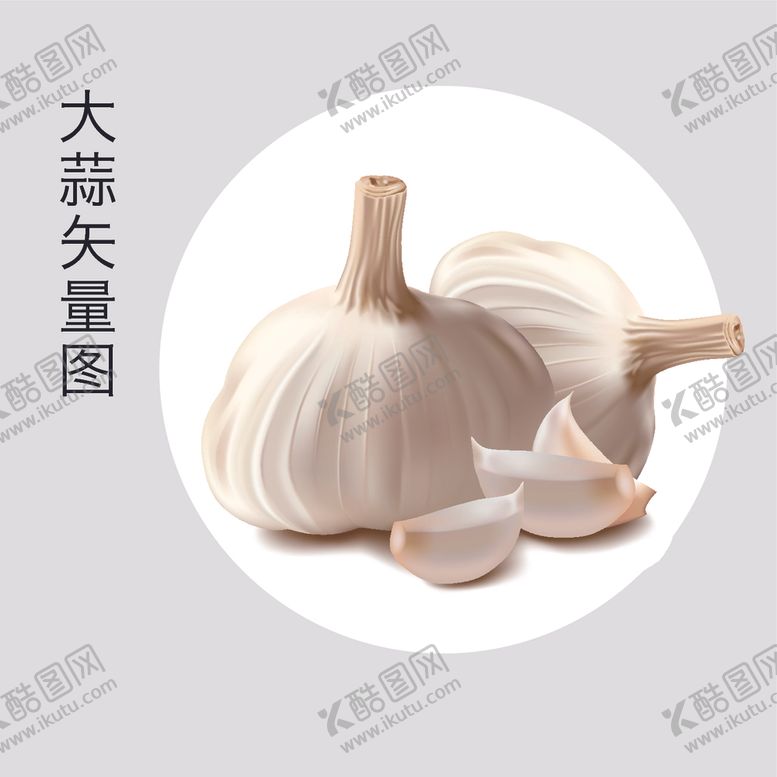 编号：22810809130514128334【酷图网】源文件下载-大蒜
