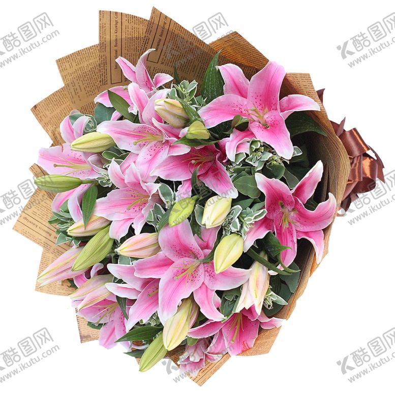 编号：23173401261952444265【酷图网】源文件下载-百合花
