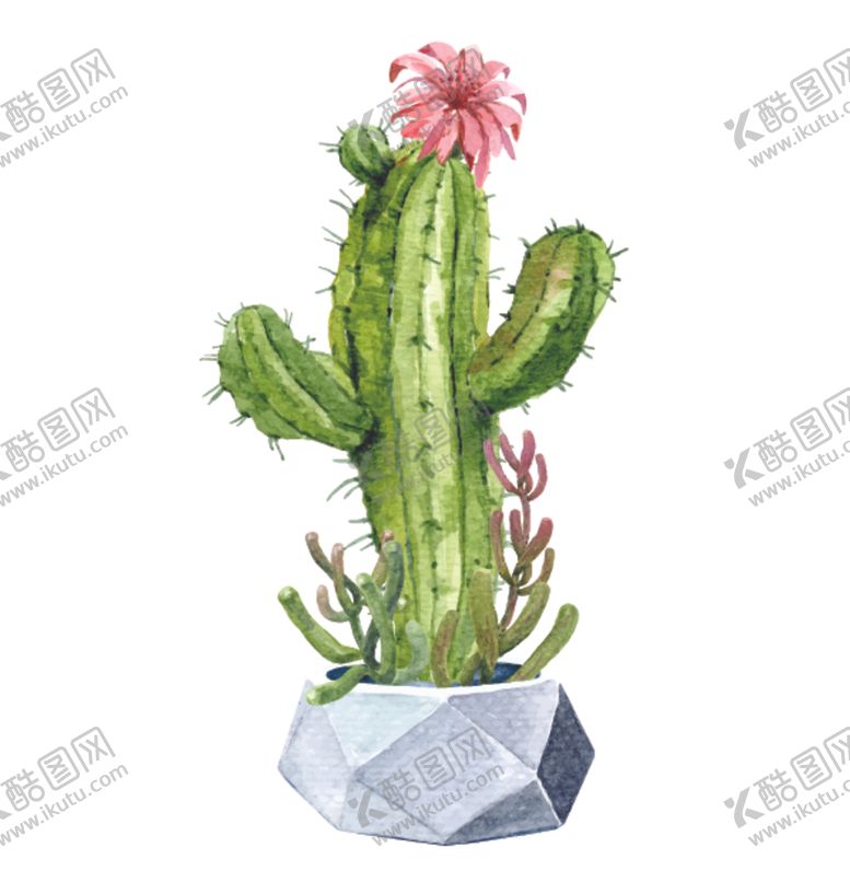编号：58719907071654274479【酷图网】源文件下载-水彩植物