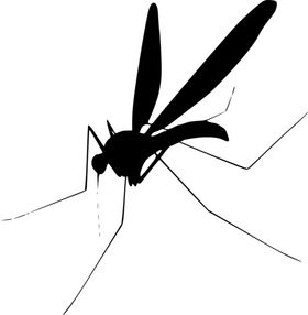 蚊子