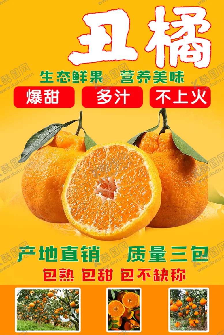 编号：98856101300515228140【酷图网】源文件下载-丑橘橘子海报