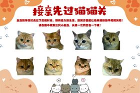 接亲先过猫猫关