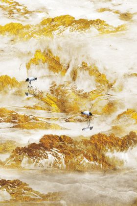 欧式装饰画