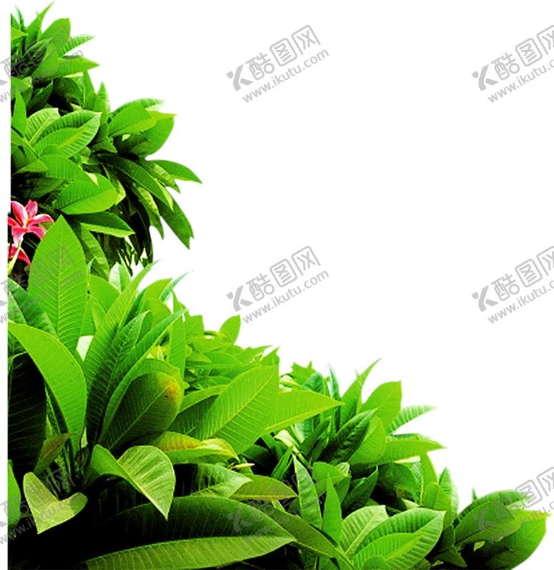 编号：61712710200137075792【酷图网】源文件下载-绿色植物