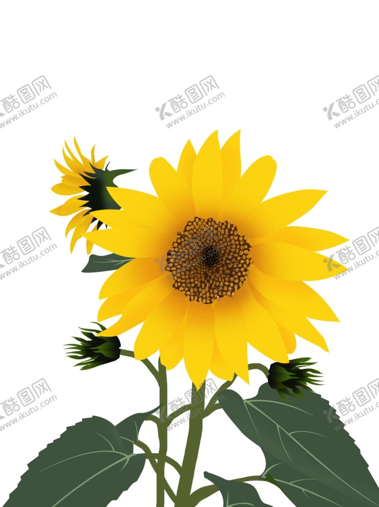 编号：29858504290716217921【酷图网】源文件下载-插画素材