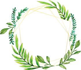 边框相框精美花纹黑色花矢量花纹