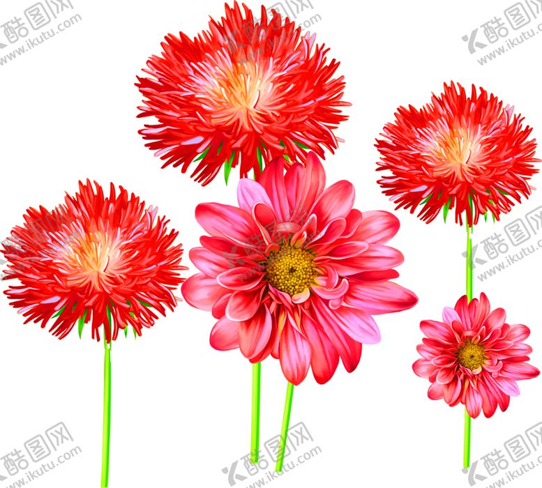 编号：72257809252137217543【酷图网】源文件下载-浪漫素材