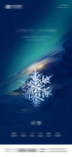 房地产大雪