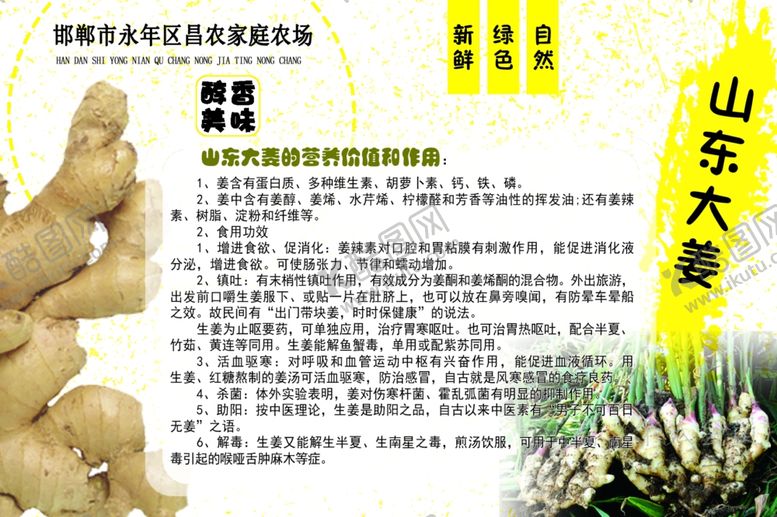 编号：42739910131307563967【酷图网】源文件下载-蔬菜介绍