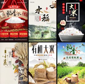 大米海报