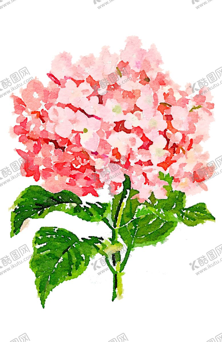编号：56081807021652076498【酷图网】源文件下载-鲜花素材