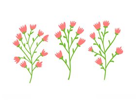 花枝
