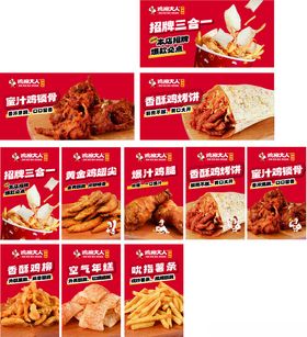 多样美味炸鸡食品展示