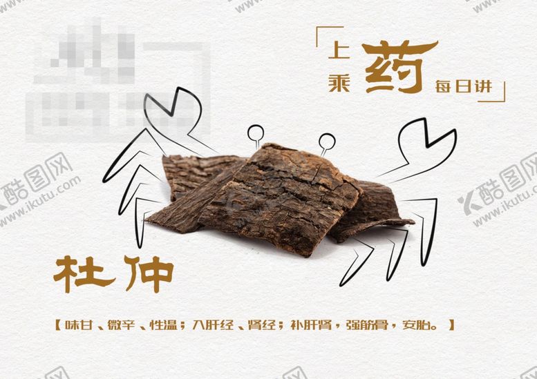 编号：42224705161234009272【酷图网】源文件下载-杜仲