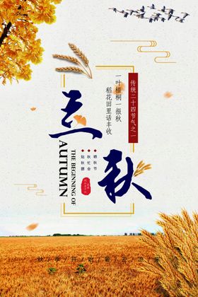 立秋节气创意海报