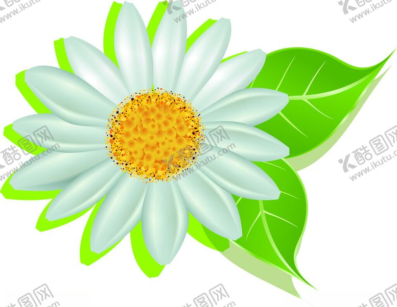 编号：98507001271949171396【酷图网】源文件下载-小雏菊