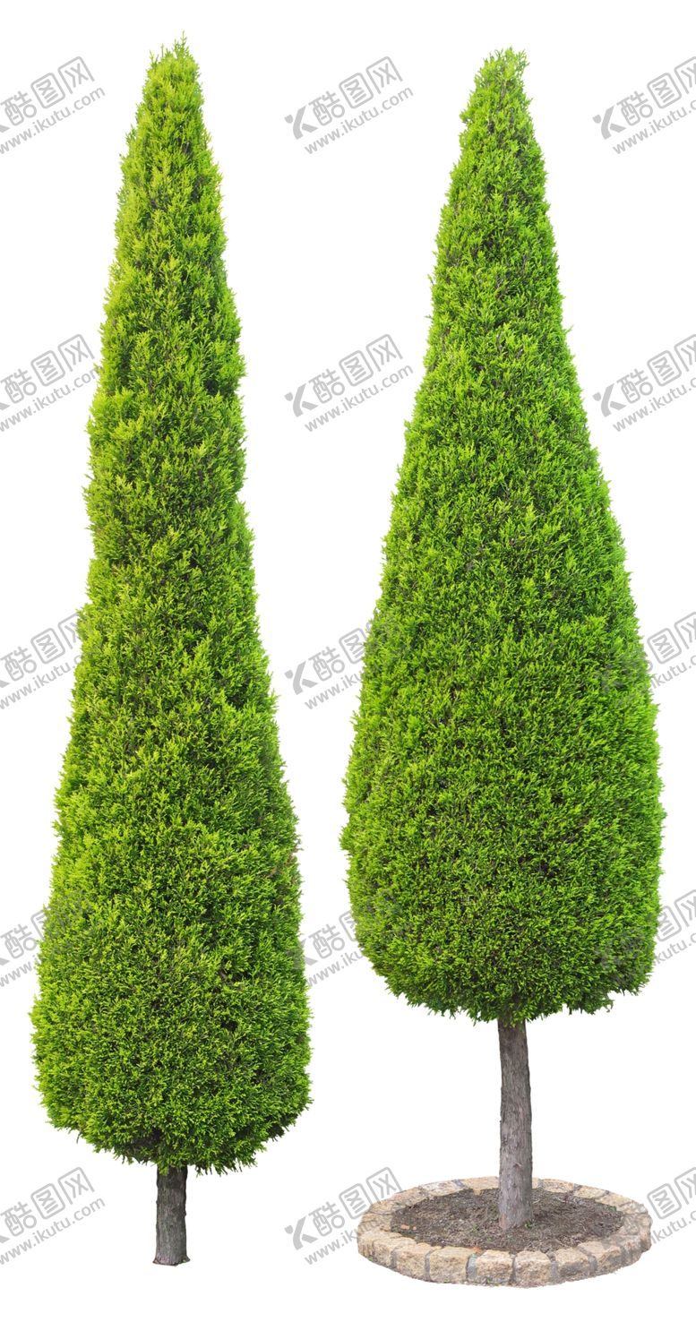 编号：86899209190750006623【酷图网】源文件下载-免扣植物素材图片