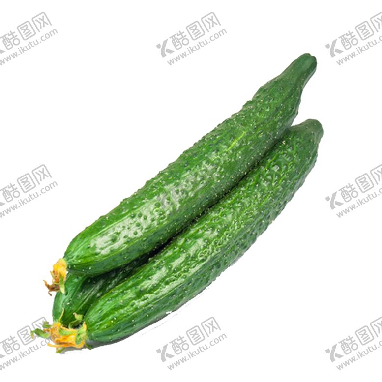编号：64744210130102409514【酷图网】源文件下载-黄瓜