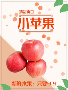 新西兰小苹果