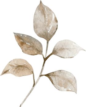 水彩绘画花朵树枝装饰