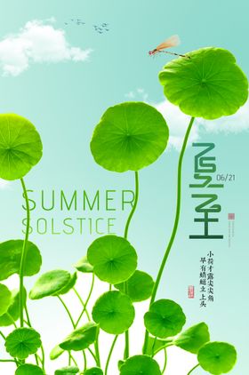 绿色清新夏至节气海报用