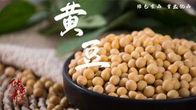 黄豆