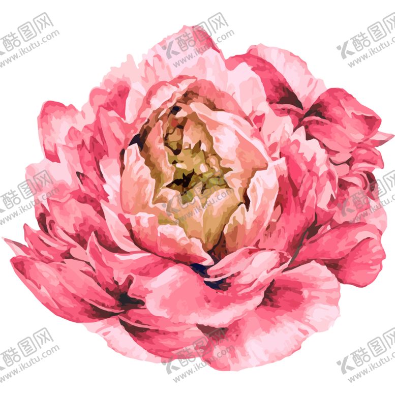 编号：81643810080639153973【酷图网】源文件下载-牡丹花