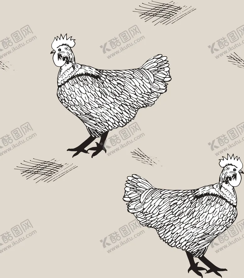 编号：74366710191741574585【酷图网】源文件下载-线描母鸡
