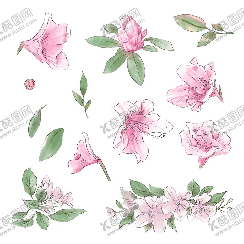 编号：20313204210226493265【酷图网】源文件下载-绿植花卉