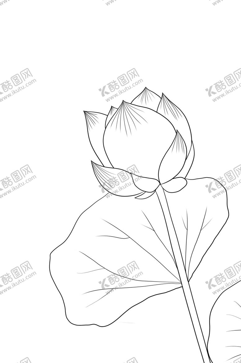 编号：71575005022318034357【酷图网】源文件下载-荷花