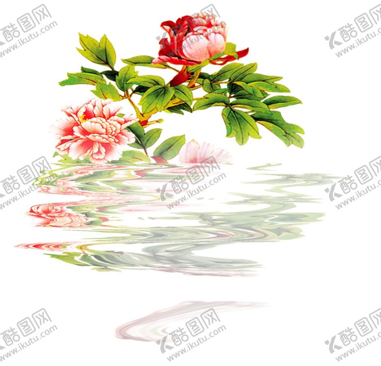 编号：56140810232214173081【酷图网】源文件下载-牡丹花