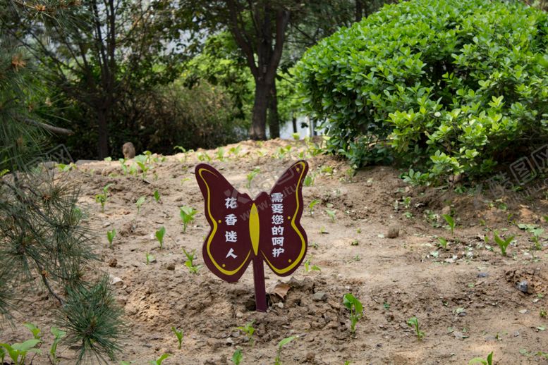 编号：95269209260043009644【酷图网】源文件下载-爱护花草指示牌