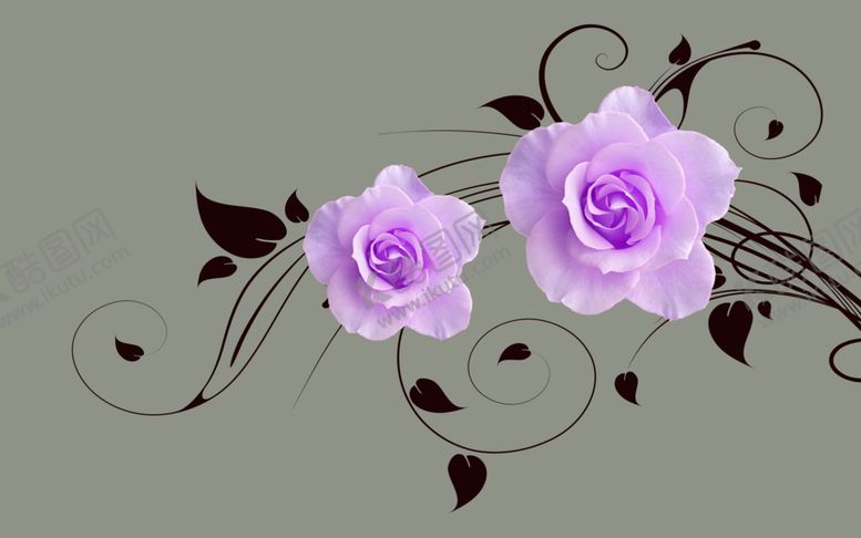 编号：35693210280805333836【酷图网】源文件下载-玫瑰花