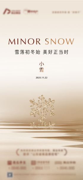 地产小雪大雪立冬单图简约高级意境海报