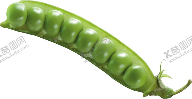 编号：92478509221234174702【酷图网】源文件下载-青豆